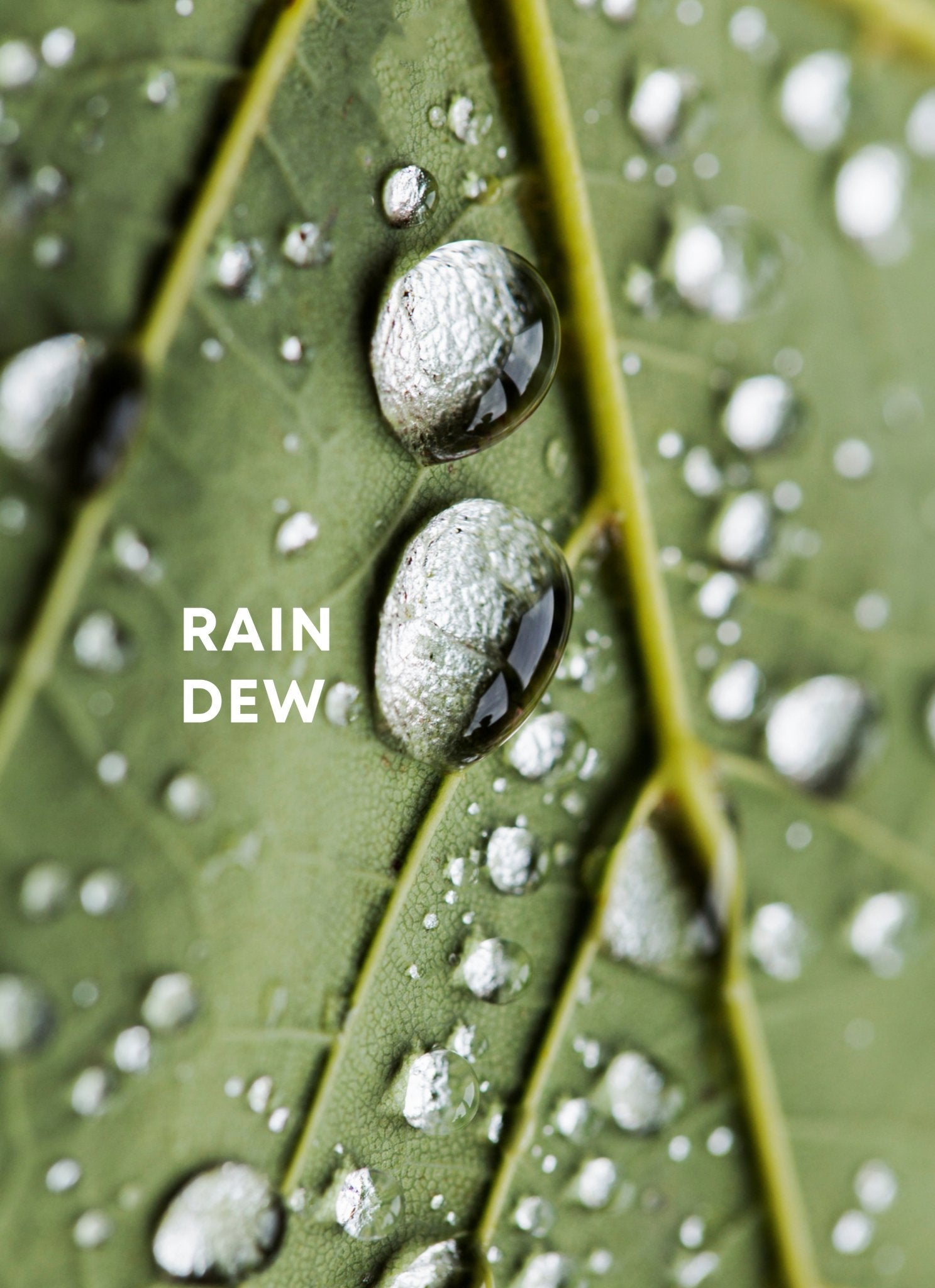 Perfume scent inspired by delicate droplets of rain dew, capturing the essence of nature&